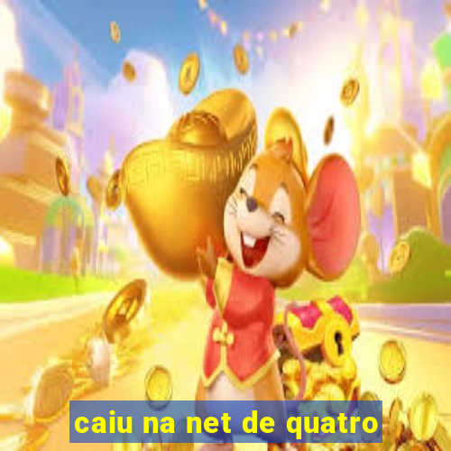 caiu na net de quatro